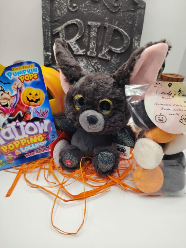 Coffret cadeau chauve-souris